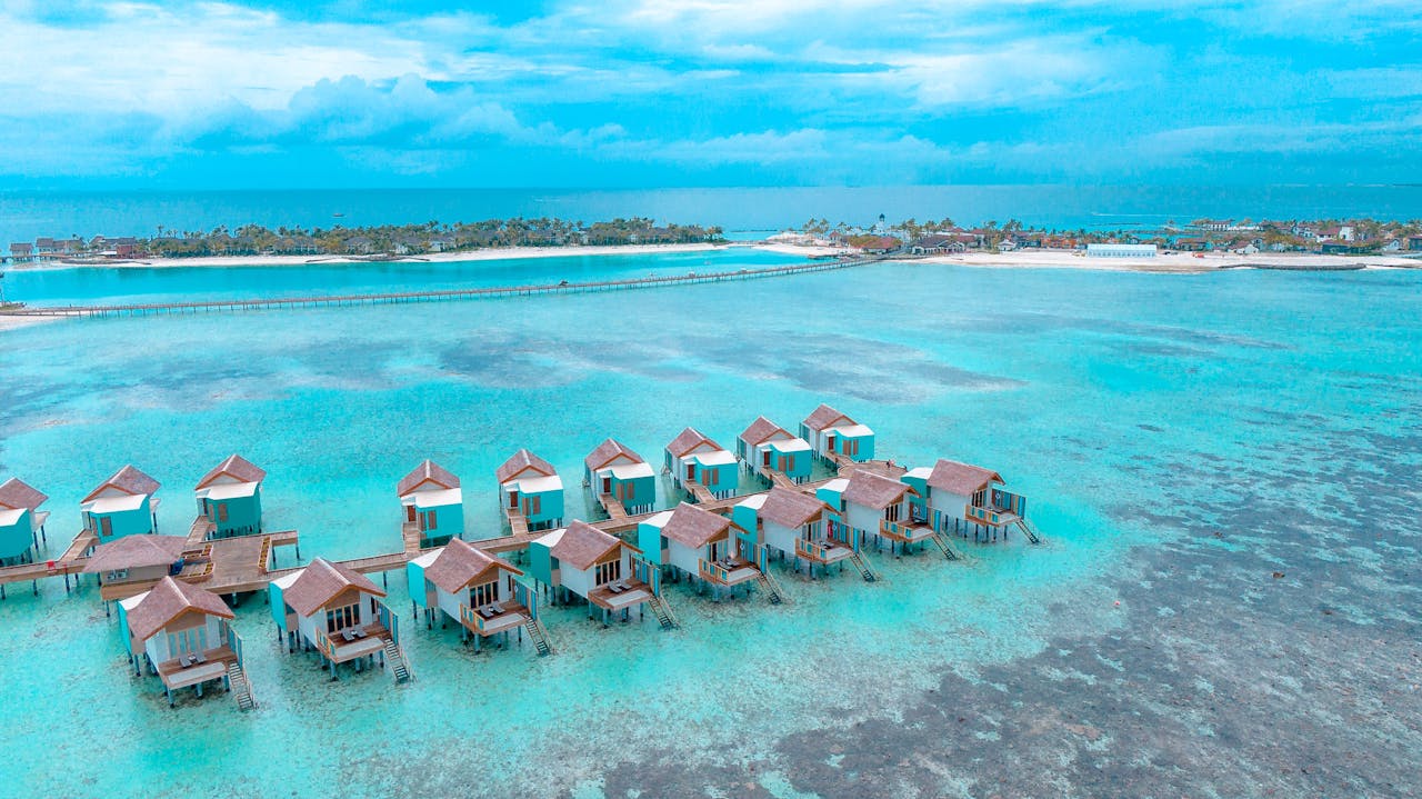 pexels photo 31587592.jpeg